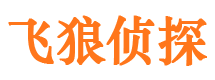 临颍市婚外情调查